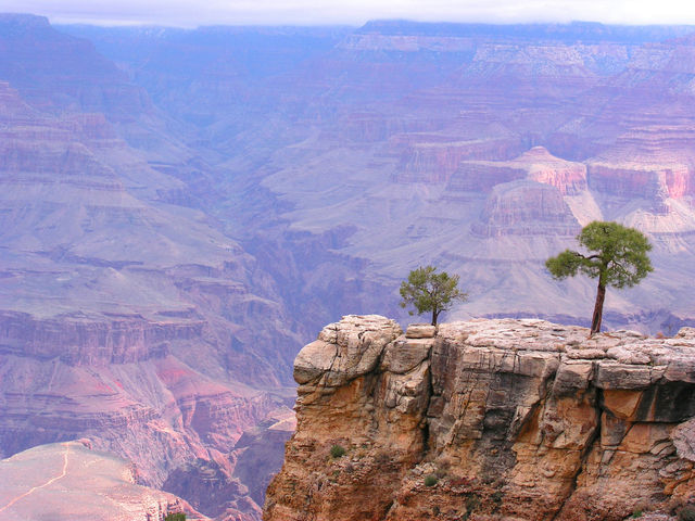 Grand Canyon one star review, playing golf